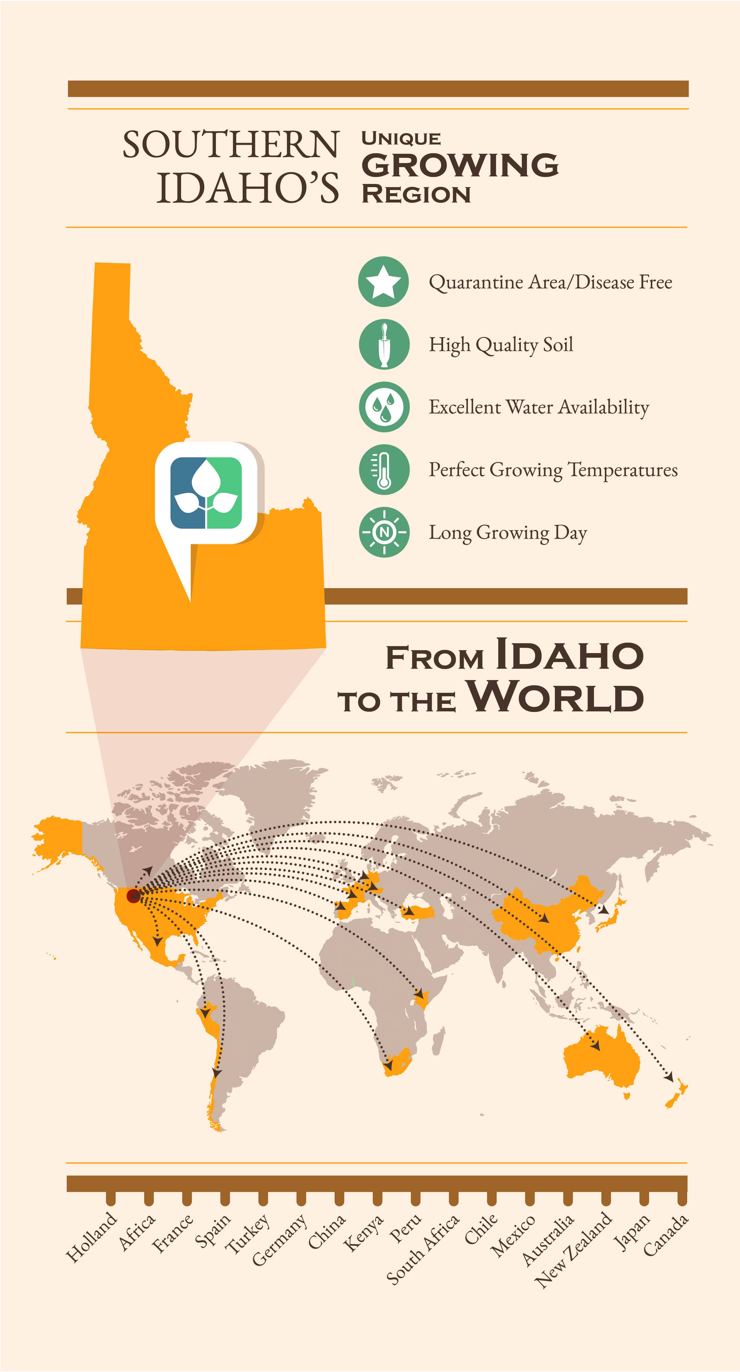 kimberly-seeds-infographics-color-02